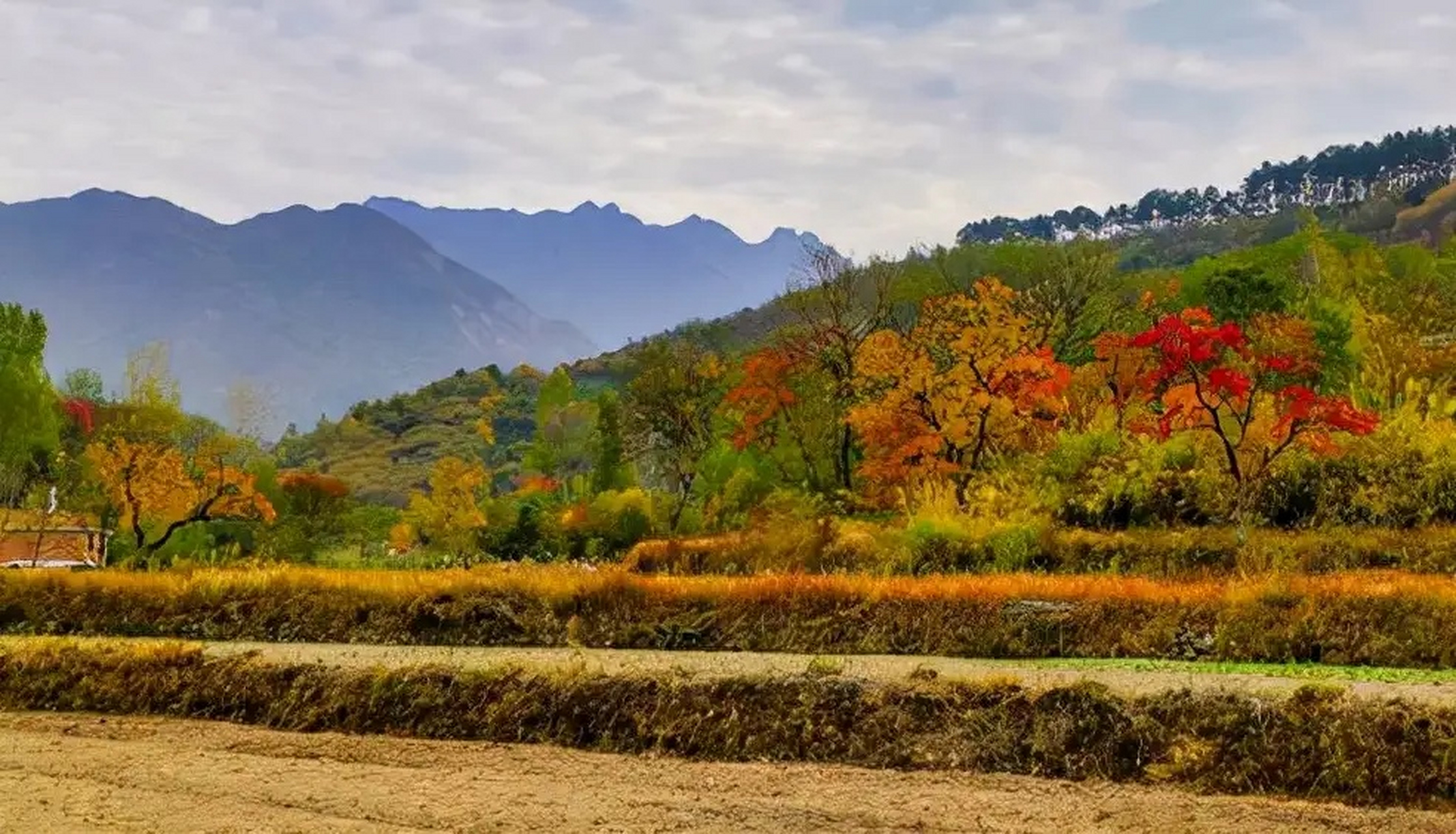 我眼中的秋天# 河南省信阳市商城县里罗城村又到了一年中最美的季节