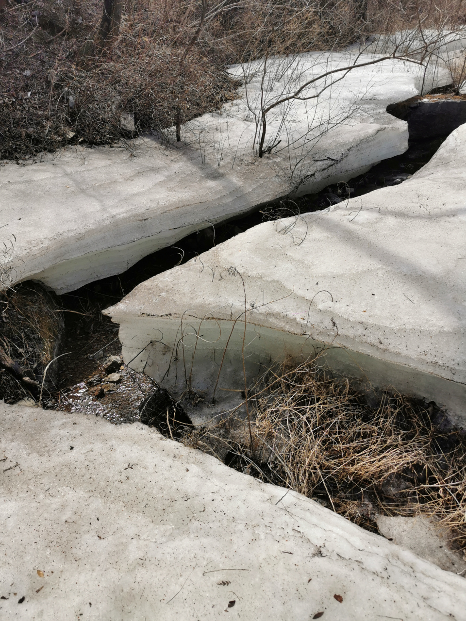 春天的冰 20多度的春天了,山里居然还有这么厚的冰!