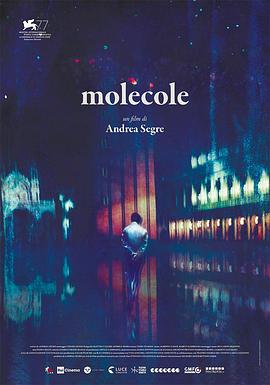 《 Molecole》传奇道士22级去哪升级