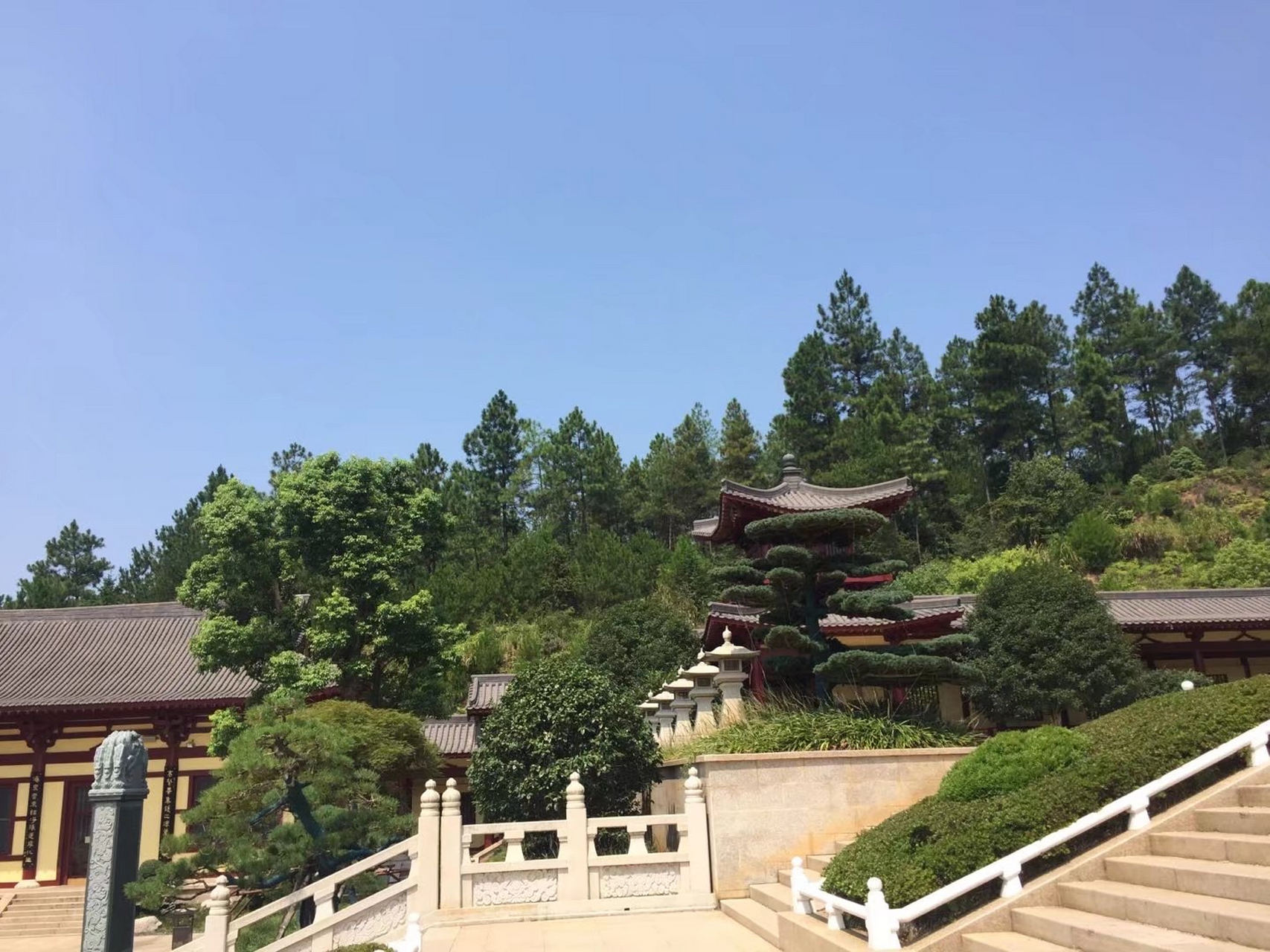 在江西九江东林寺的那天,我感受到了一种特别的情感.