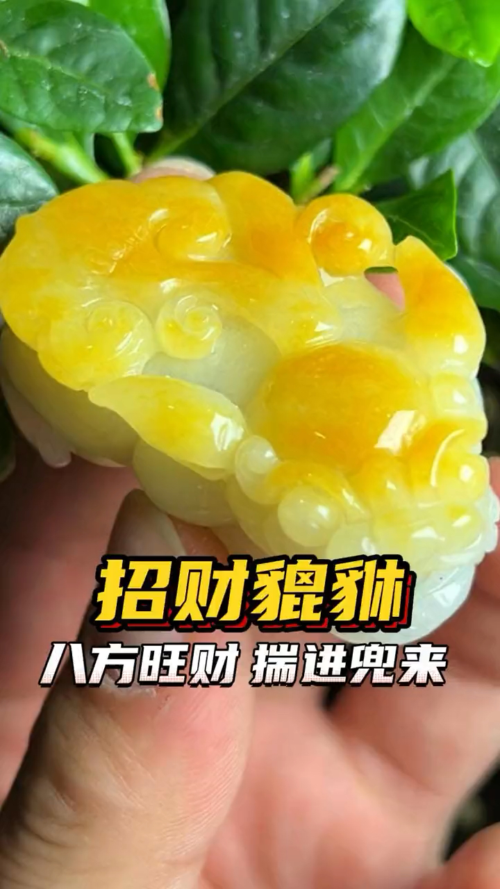 招财貔貅,八方旺财,你喜欢吗