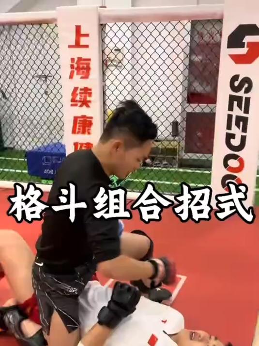 格斗组合技术(格斗组合技术名词解释)