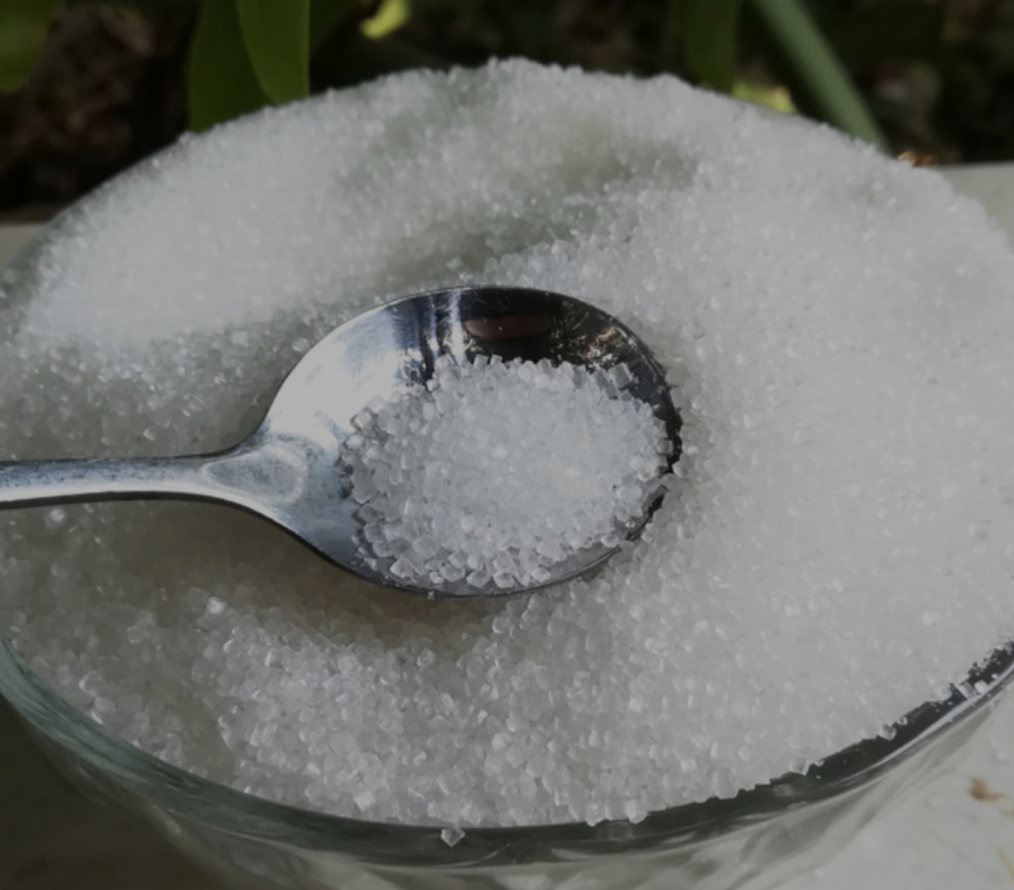 世界上产糖大国主要是印度和巴西,中国每年需要大量进口白糖,这两年