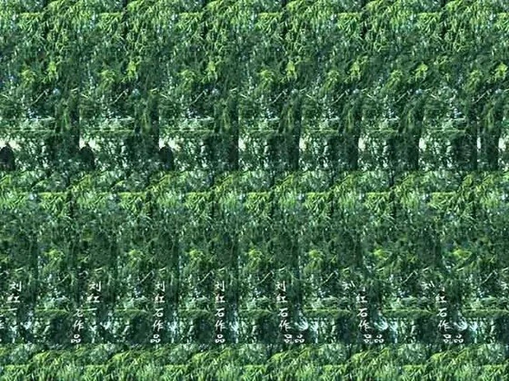 三维立体图片,第一次知道这个,我看网上别人都说能看到3d图形,我研究