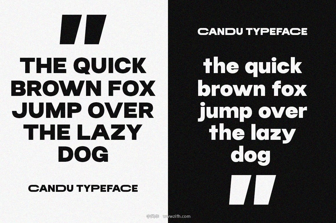 Candu Typeface Font-13.jpg