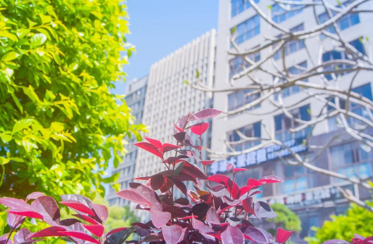 福建中华技师学院是公立还是私立?