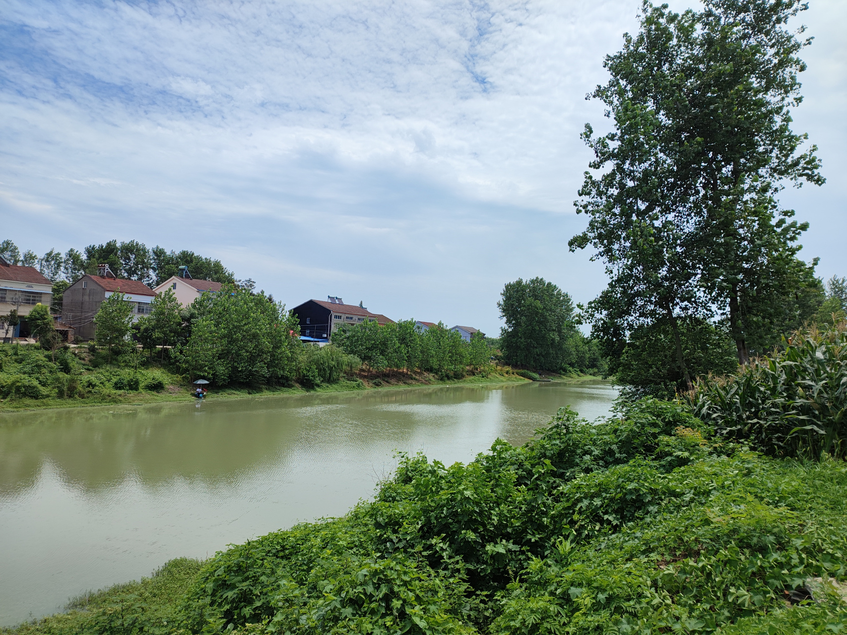 小时候,跟着爷爷奶奶在这条河边的老屋生活过若干年,经常在河边的树林