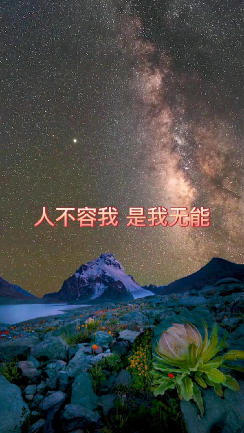 人不容我是我无能智慧人生悟人生之道治愈系风景