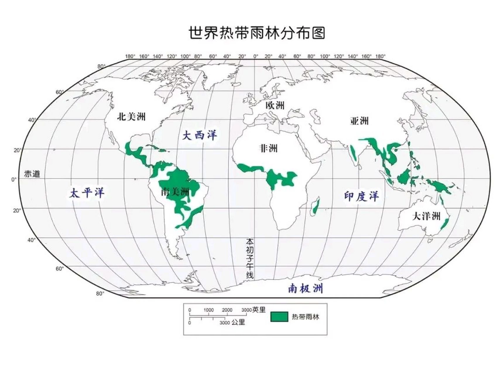 世界热带雨林分布图. 热带雨林降水量丰富,植被茂盛.