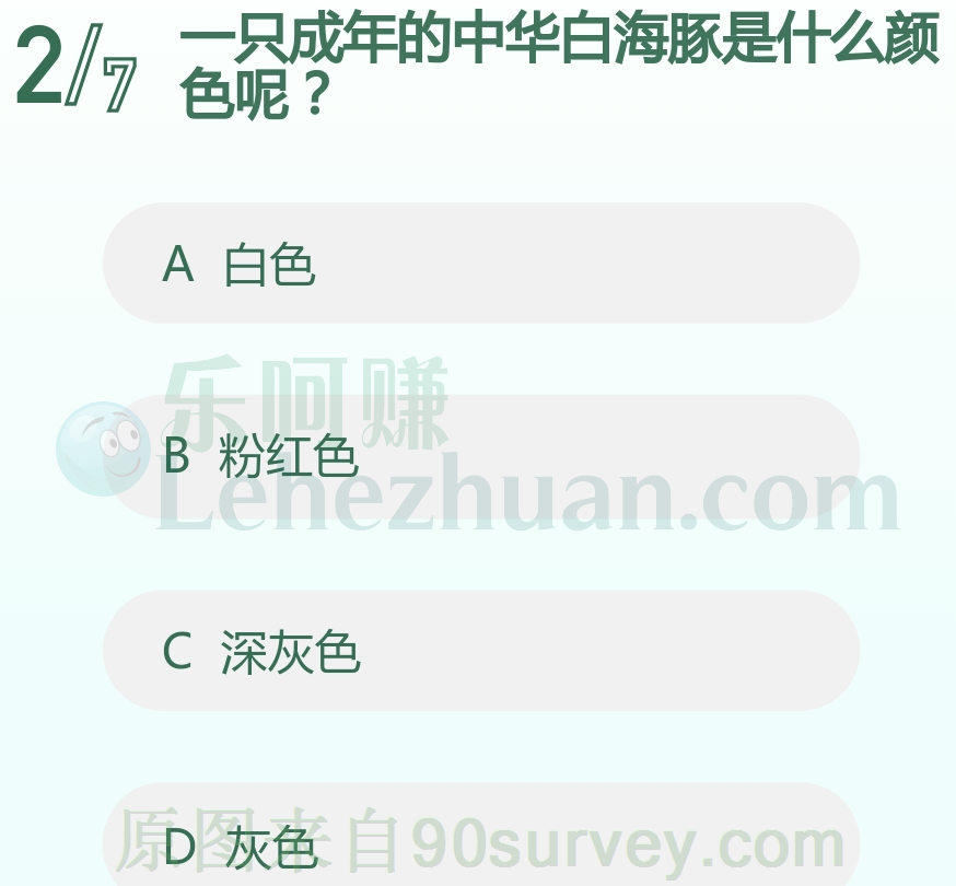 一只成年中华白海豚是粉红色的