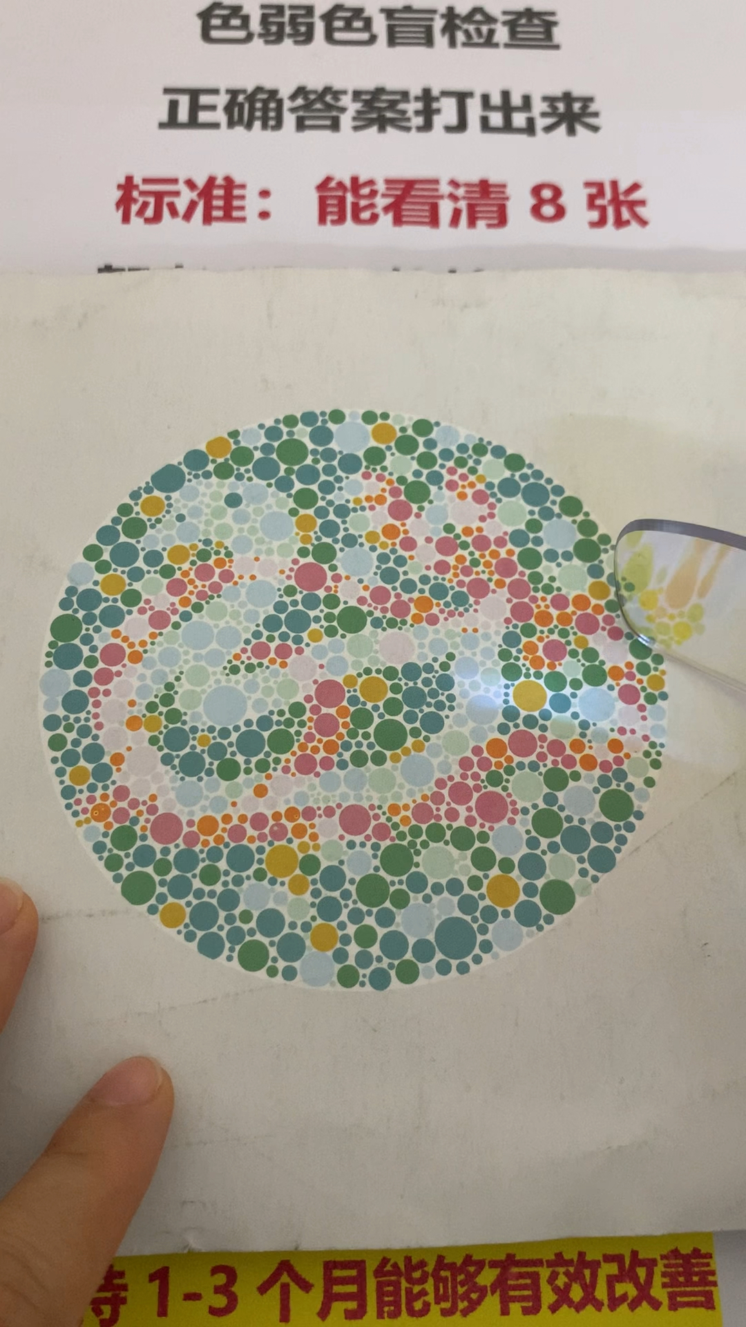 色弱色盲测试图中能看到鹅还能看到兔子吗