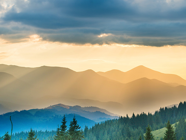 房客 (糙汉)何璐「何璐 程曜坤」小说txt无删减全文免费阅读