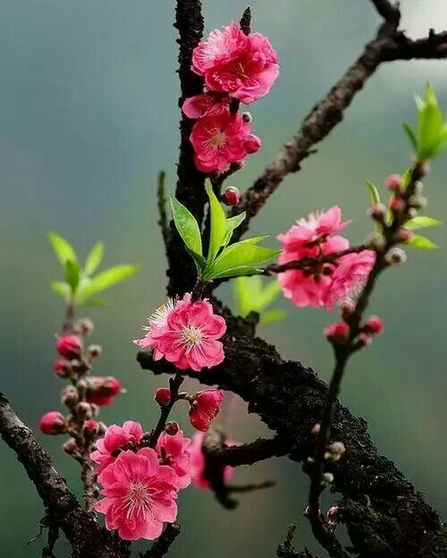 要想跟我交流太极拳道,太和拳道,请你先学会做人,学会说话!