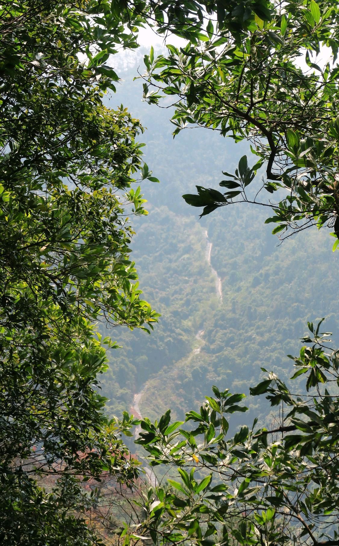 中山市三乡田心公园的自然生态和小路,你绝对想不到的美景