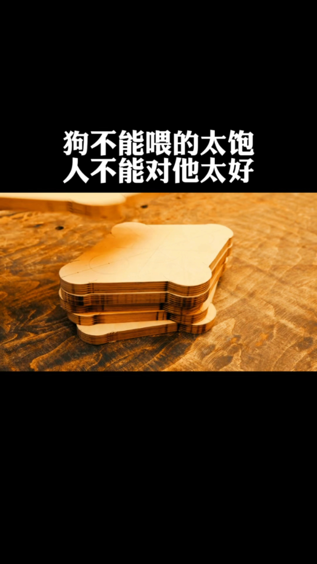 狗不能喂的太饱人不能对他太好