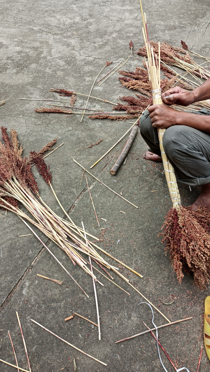 高粱杆杆也派上用场了,晾干的高梁杆可以做成扫帚扫地,瞧!