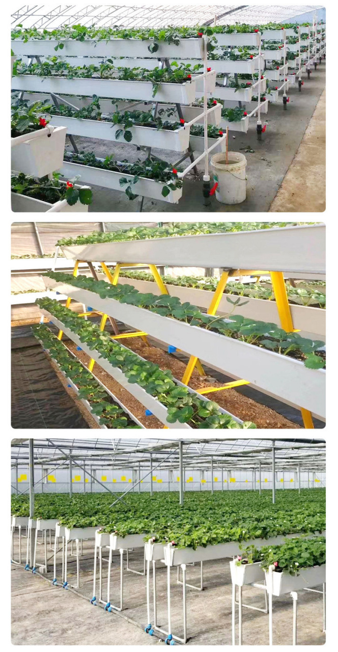 草莓立体种植槽高架无土栽培番茄蔬菜立体栽培架水培槽草莓种植槽