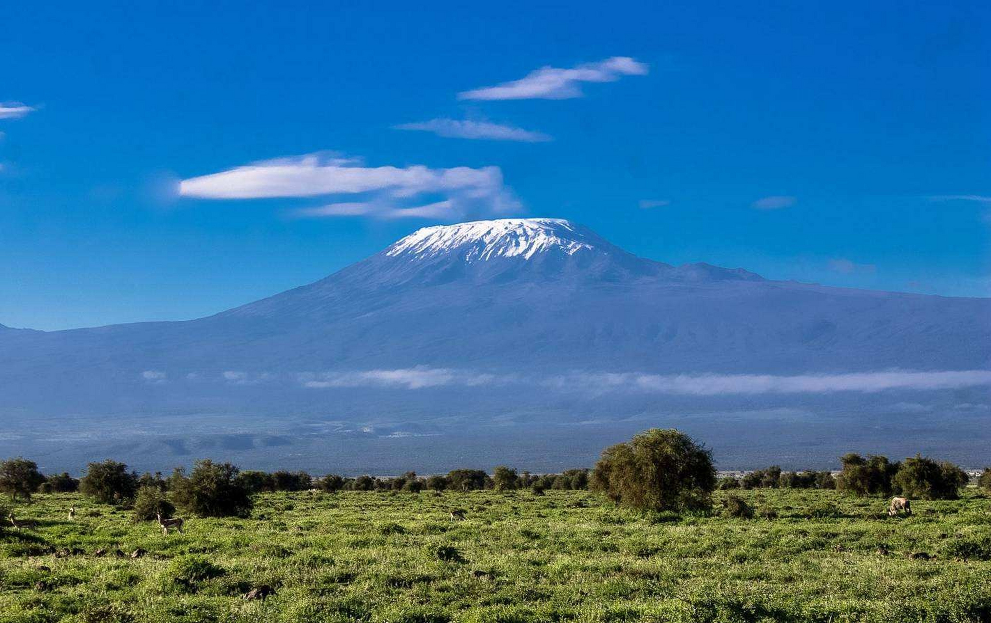 非洲最高峰,乞力马扎罗山