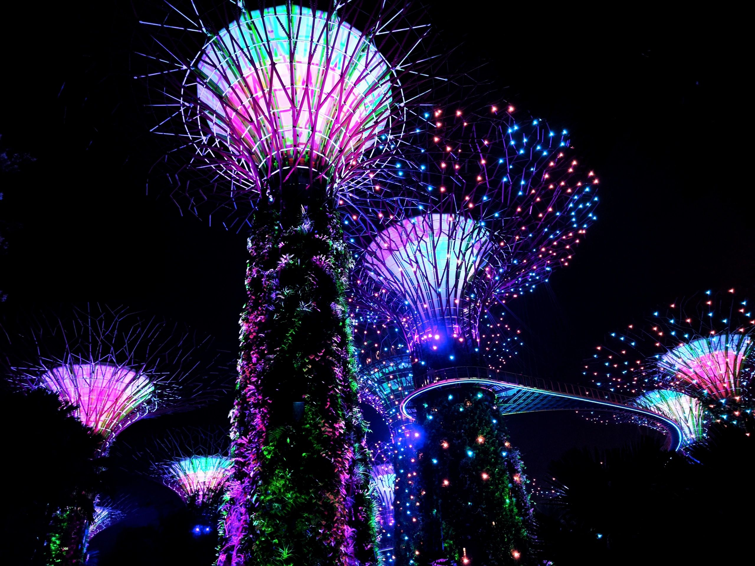 新加坡旅游tips 附樟宜机场攻略整理