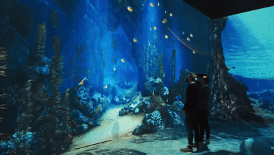 就在今天,正式开放!升级版新澳海底世界,邀请全市人民来玩!