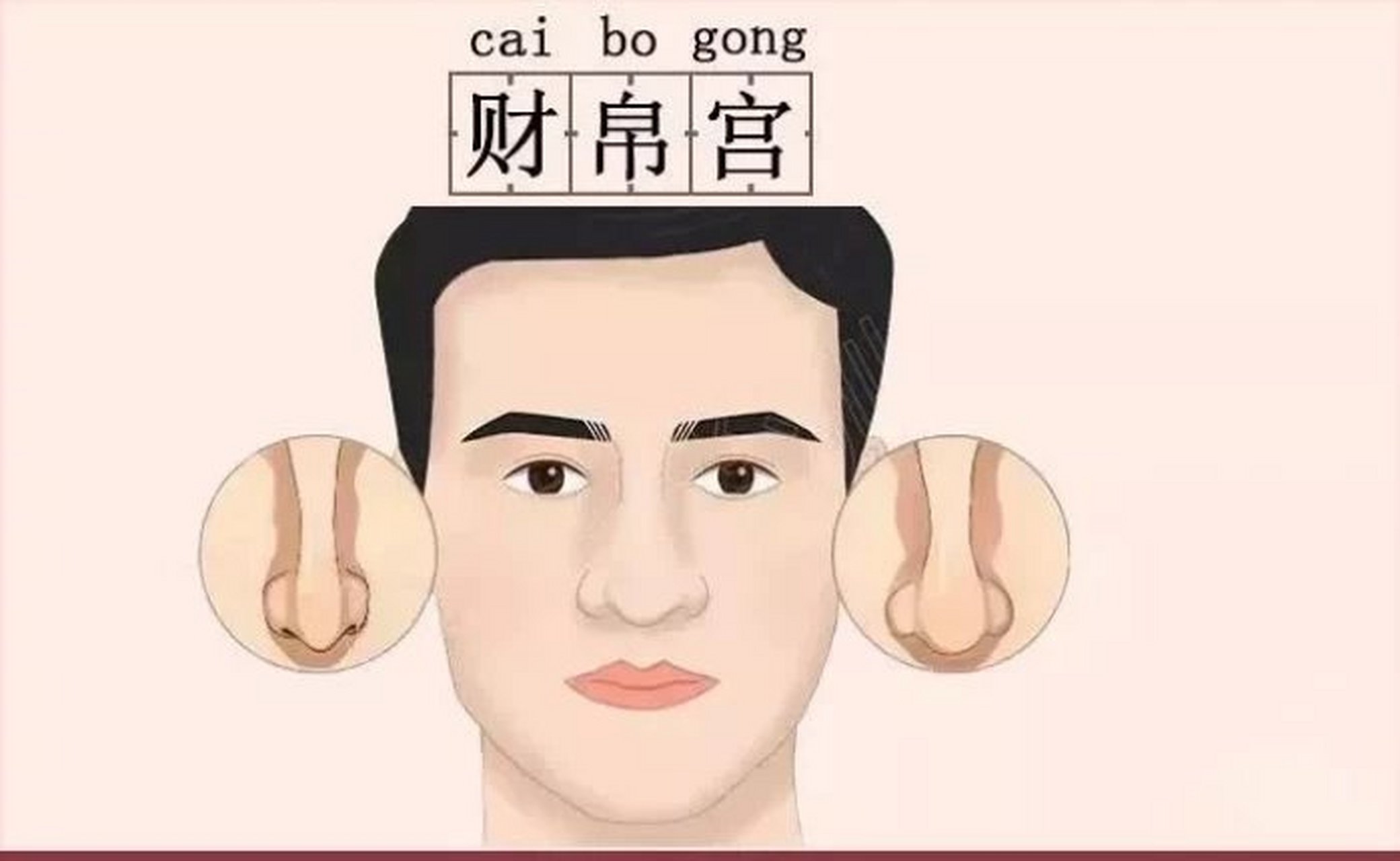 财帛宫  说起财运,了解面相的第一时间肯定都想的是鼻子.