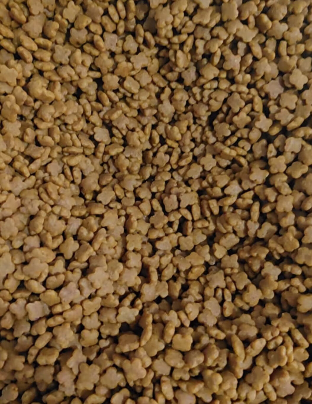 皇家幼猫奶糕猫粮:营养全面,口感鲜美,幼猫的健康之选