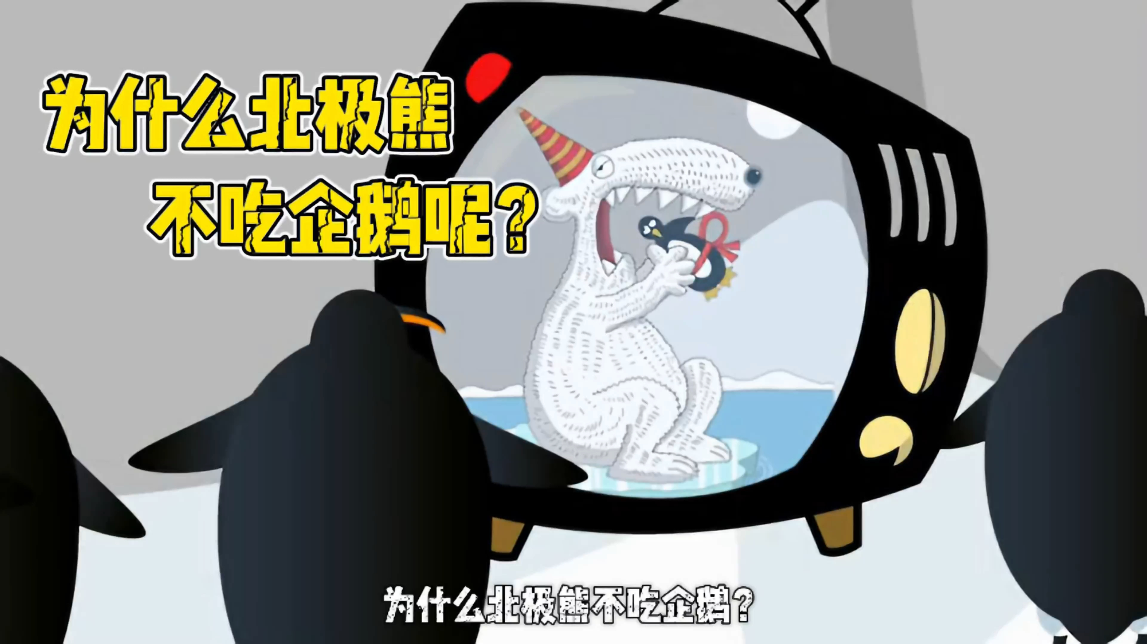 为什么北极熊不吃企鹅呢?