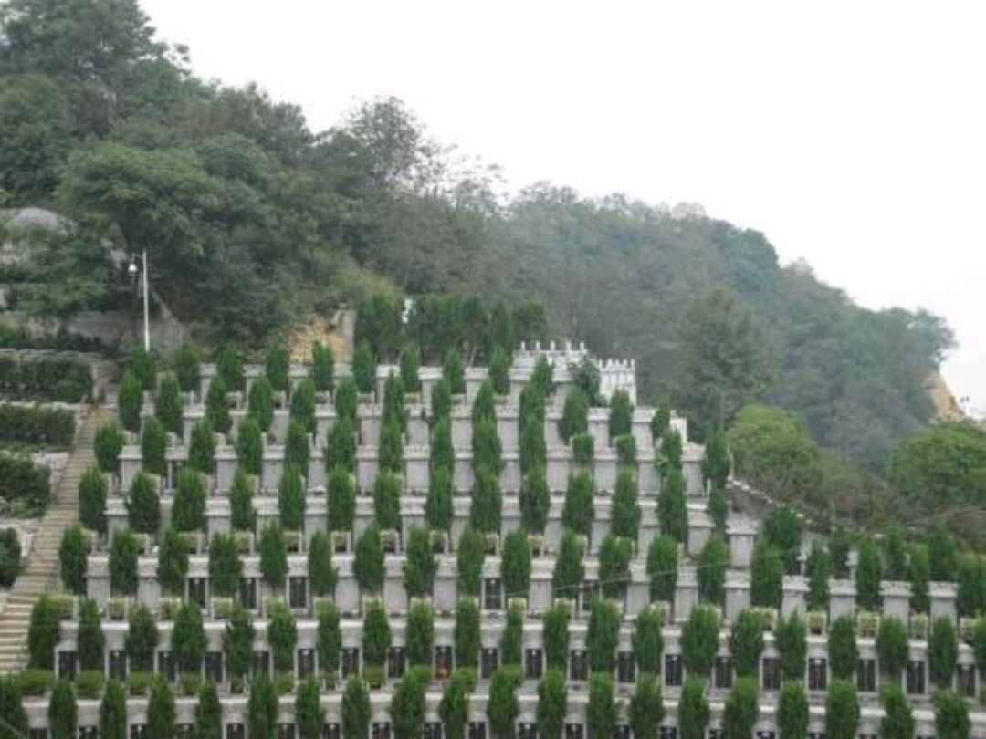 道情一首:潇湘陵园祭友人