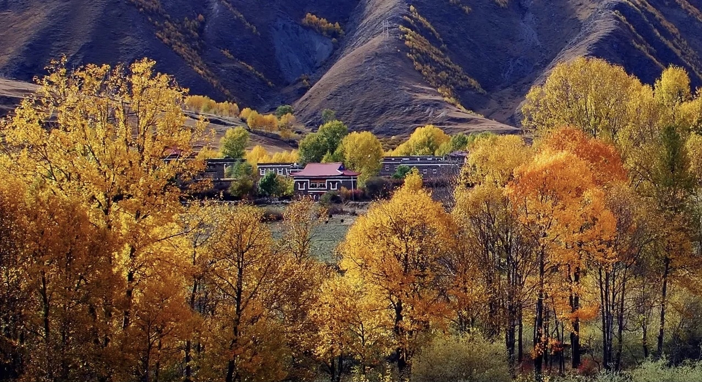 风光雄奇壮美,这个季节的川西,像一幅幅铺展开的蜀绵,更是美得绮丽