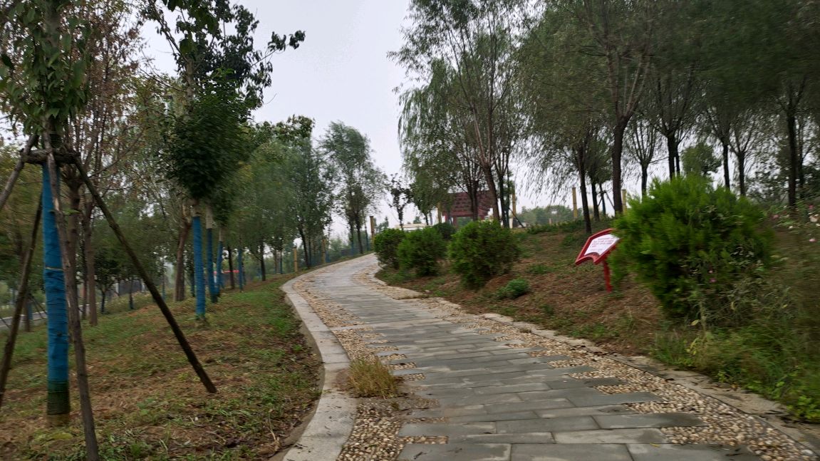 纪事:雨中游方城龙泉公园