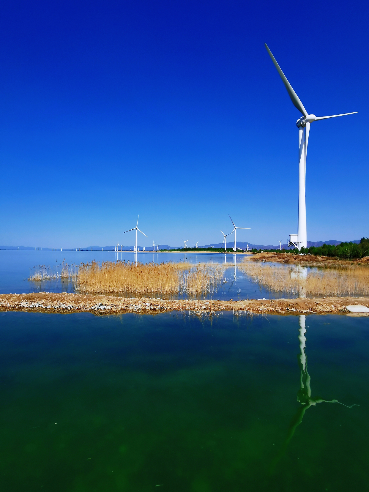 官厅水库 妫河湿地 怀来大桥 露营天幕