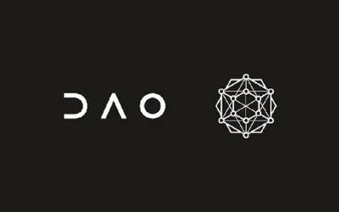 DAO 金库资产多元化指南