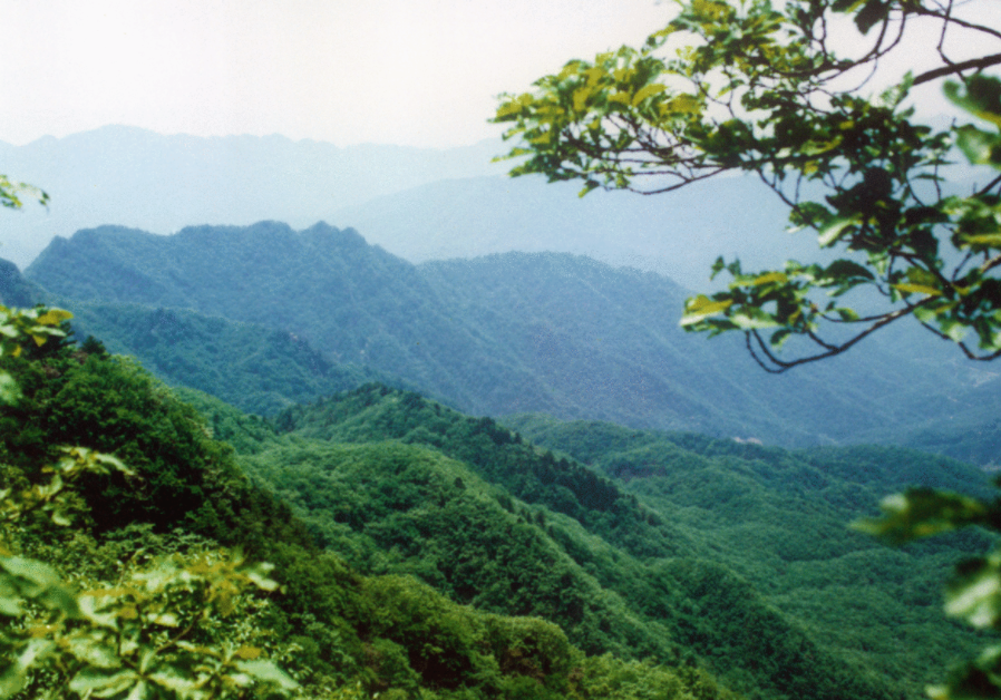 灵宝燕子山门票图片