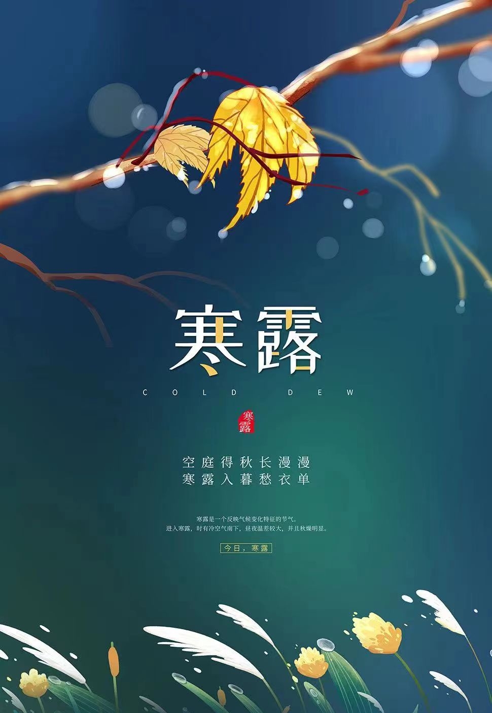 寒露节气四季轮回中的独特印记