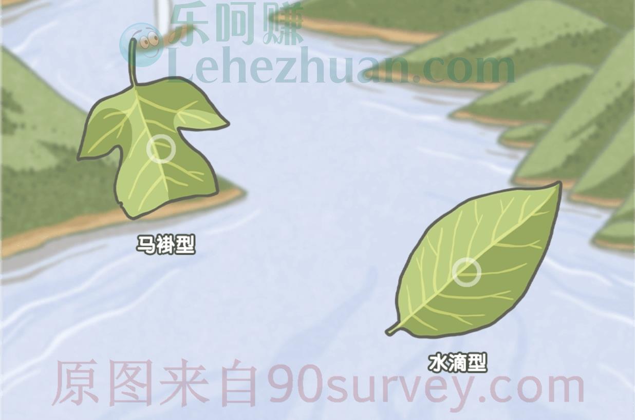 下列哪种是鹅掌楸的叶?答案:马褂形的叶子 下列哪种是鹅掌楸的叶?答案:马褂形的叶子