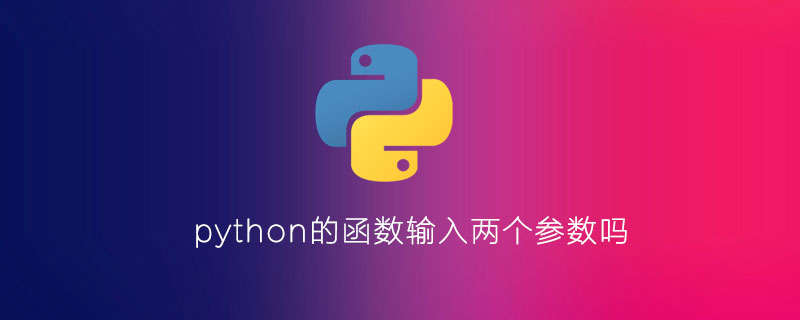 python的函数是否输入两个参数？