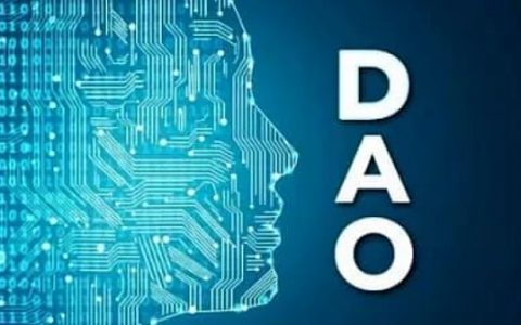 DAO：自组织运动的新兴领导者