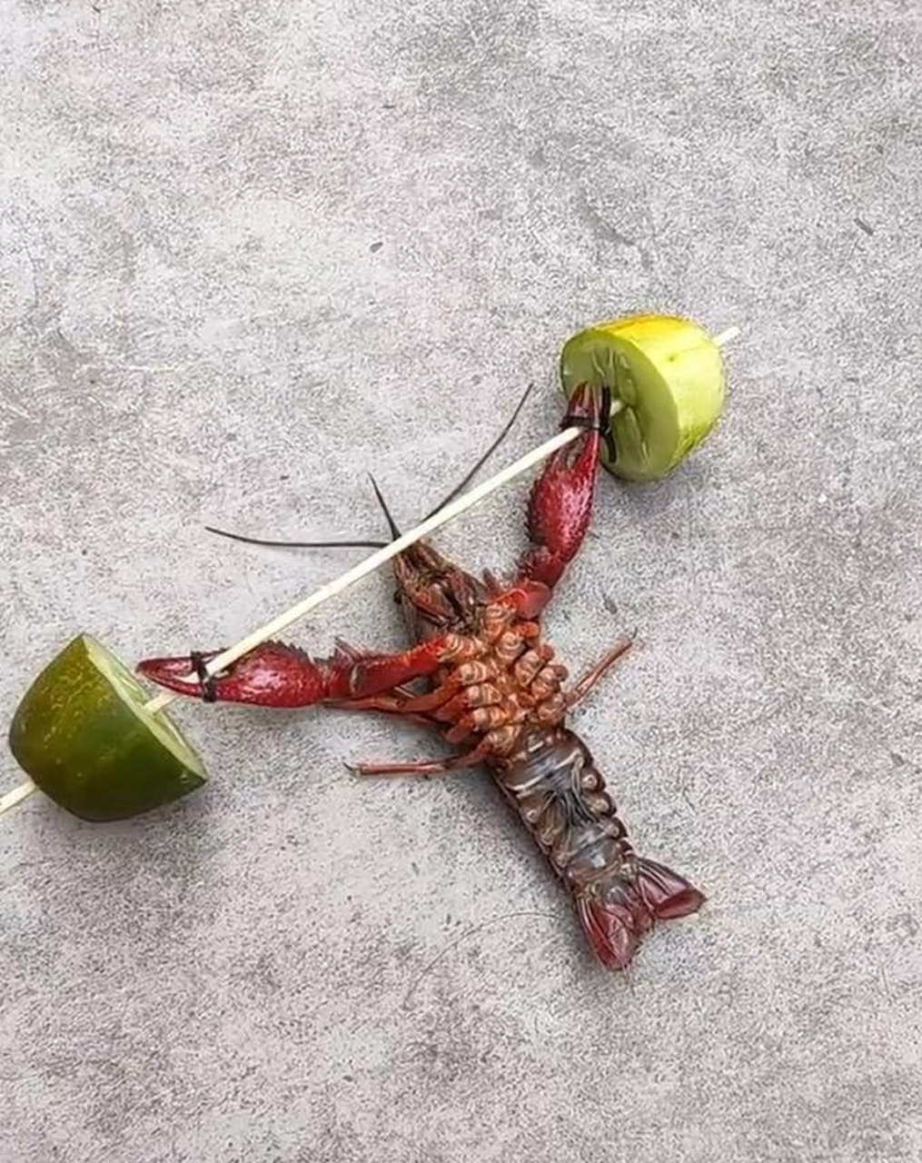 小龙虾都这么努力,睡懒觉的快起床干活了 #搞笑