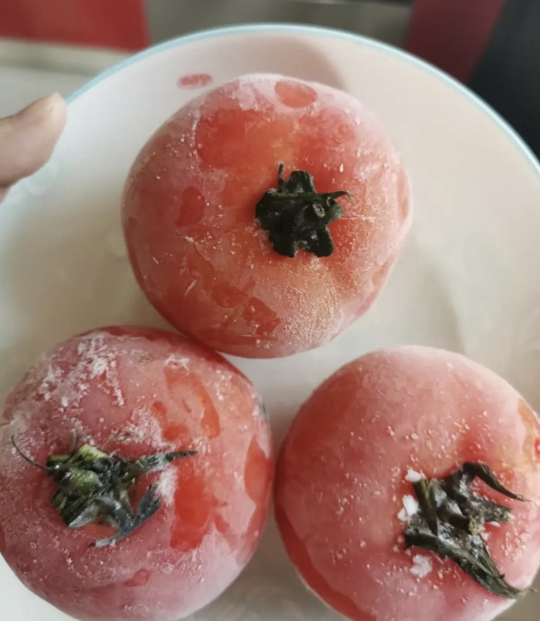 今天把西红柿拿出来,冻的邦邦硬,像石头似的.