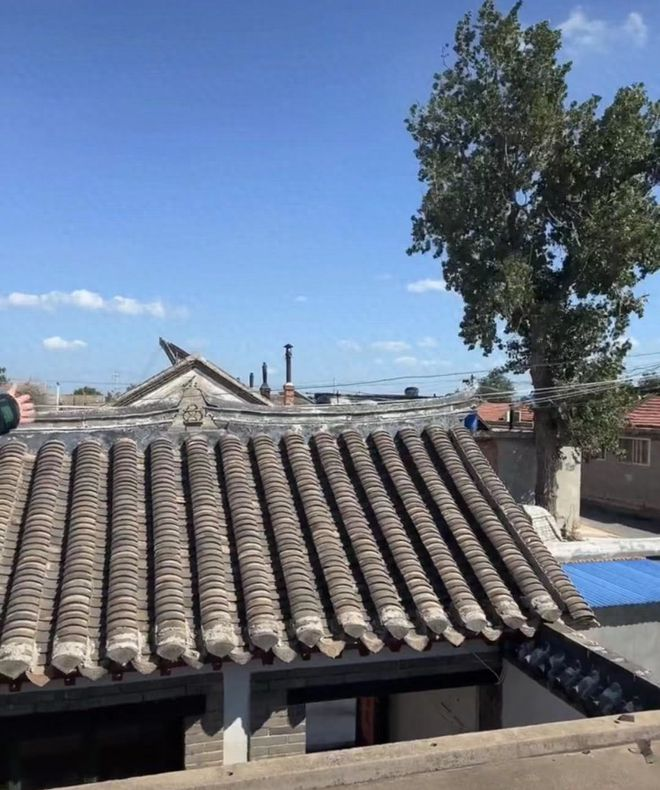 于震回归故土,住青砖瓦房四合院,屋顶跳舞享受生活,太高级了
