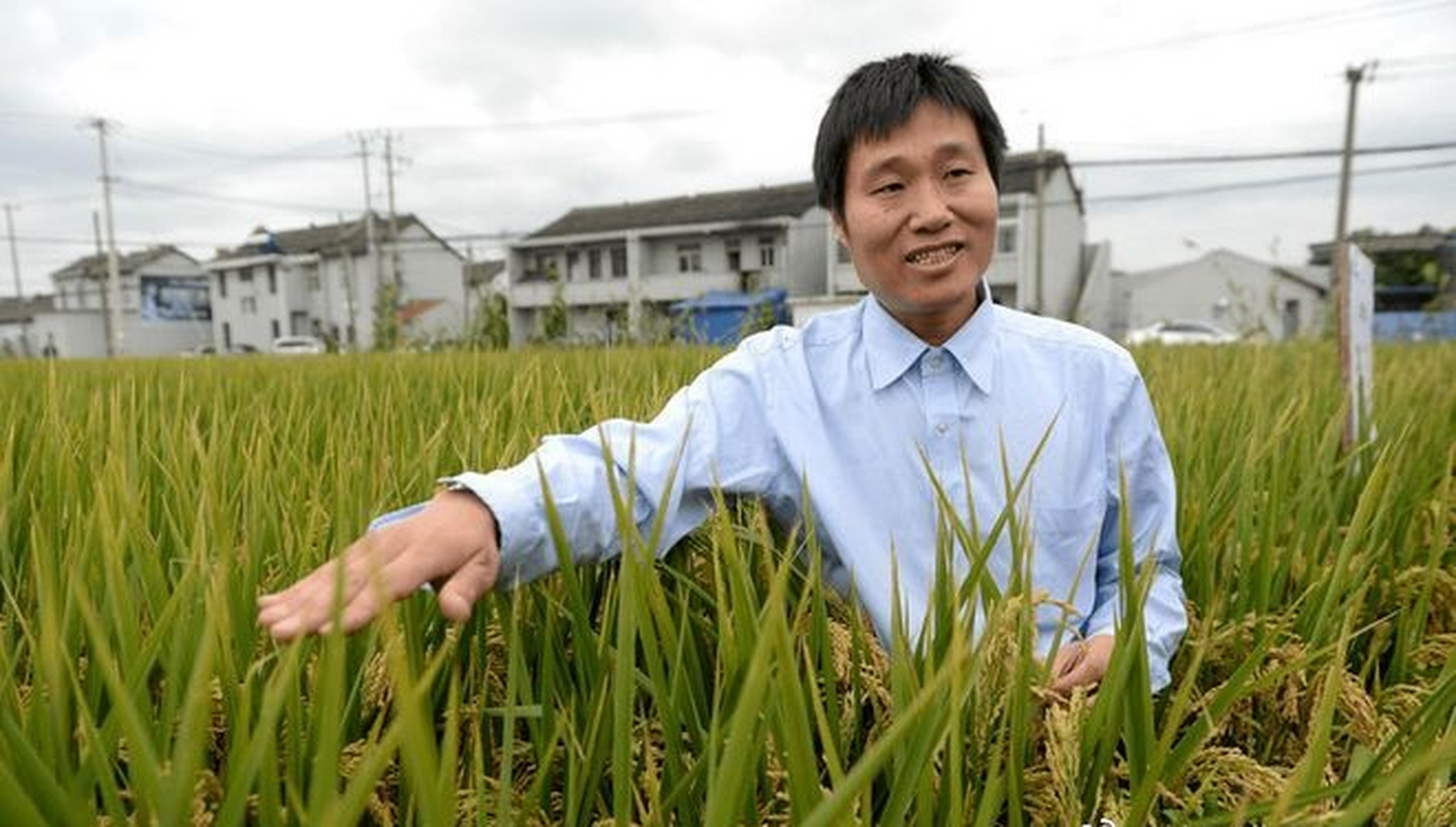 我国著名生物专家张大兵icon出车祸身亡  今年是转基因农作物icon