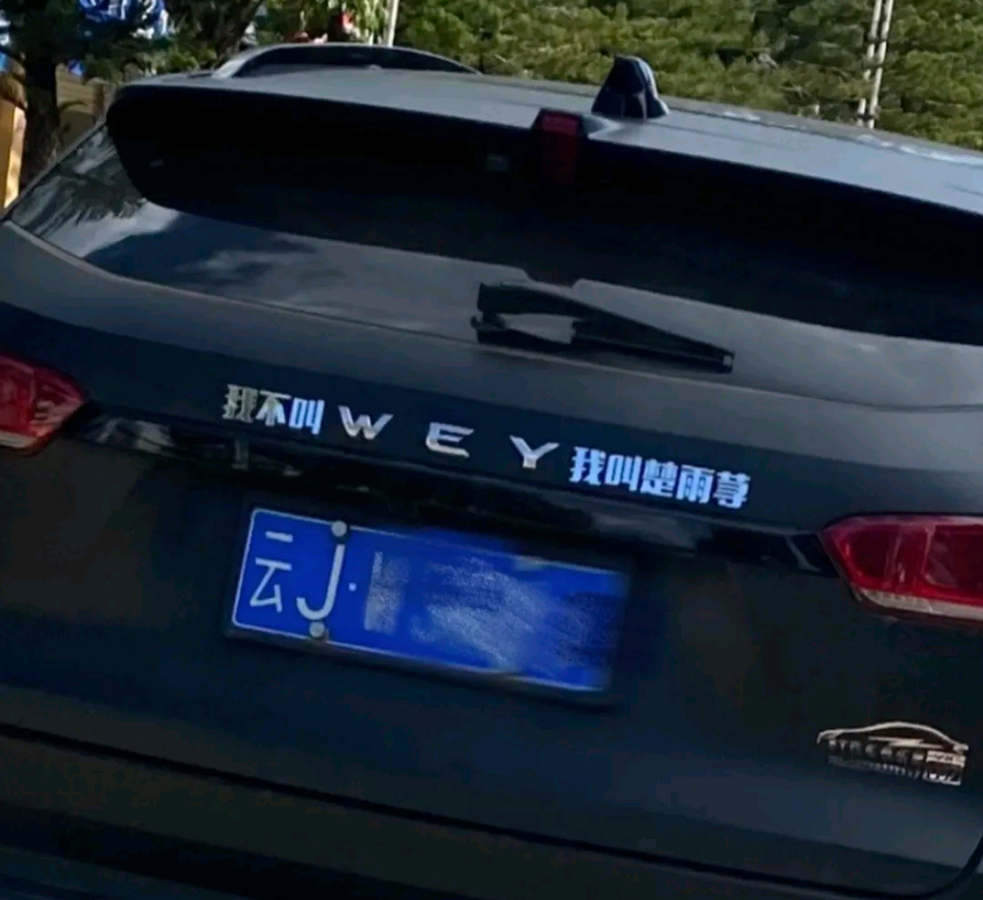 我不叫wey,我叫楚雨荨[大笑]