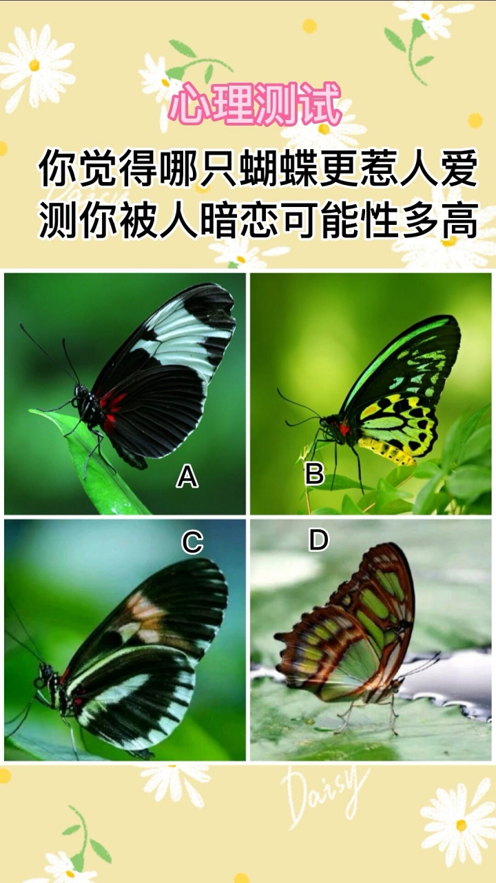 心理测试 你觉得哪只蝴蝶更惹人爱测你被人暗恋可能性多高#心理测试