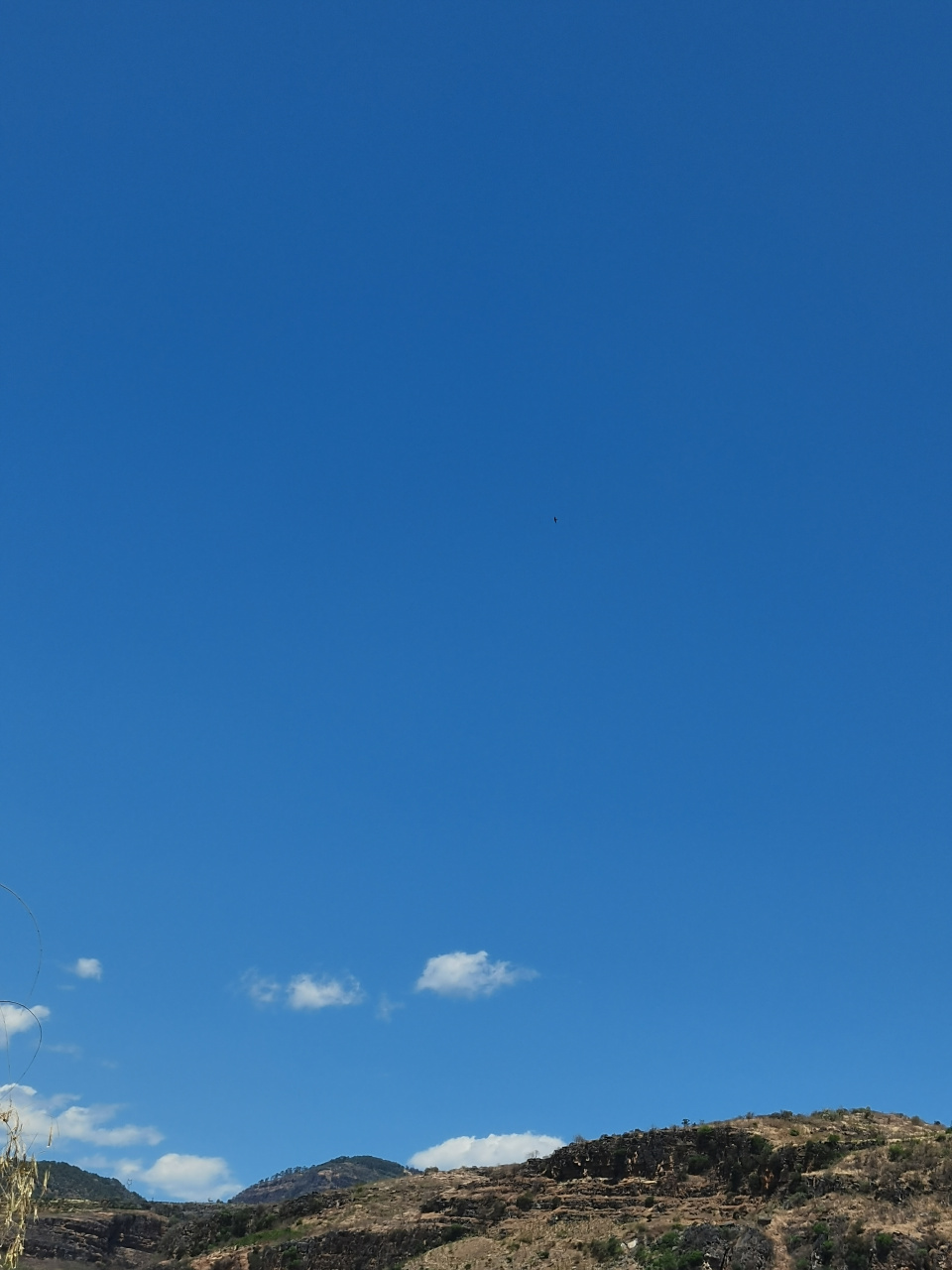 晴空万里,艳阳高照,却抵挡不住你们火辣辣的开放[666][666][666]