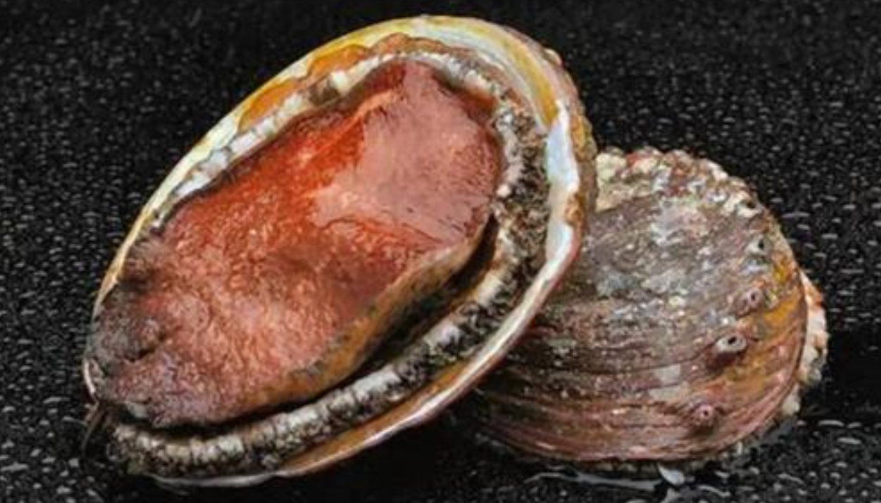 特产- 热门商品专区