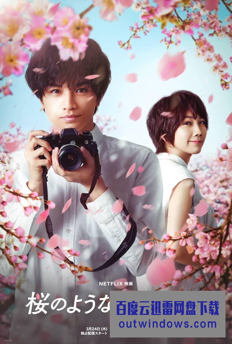 2022日本爱情《我的樱花恋人》HD1080P.日语中字1080p|4k高清