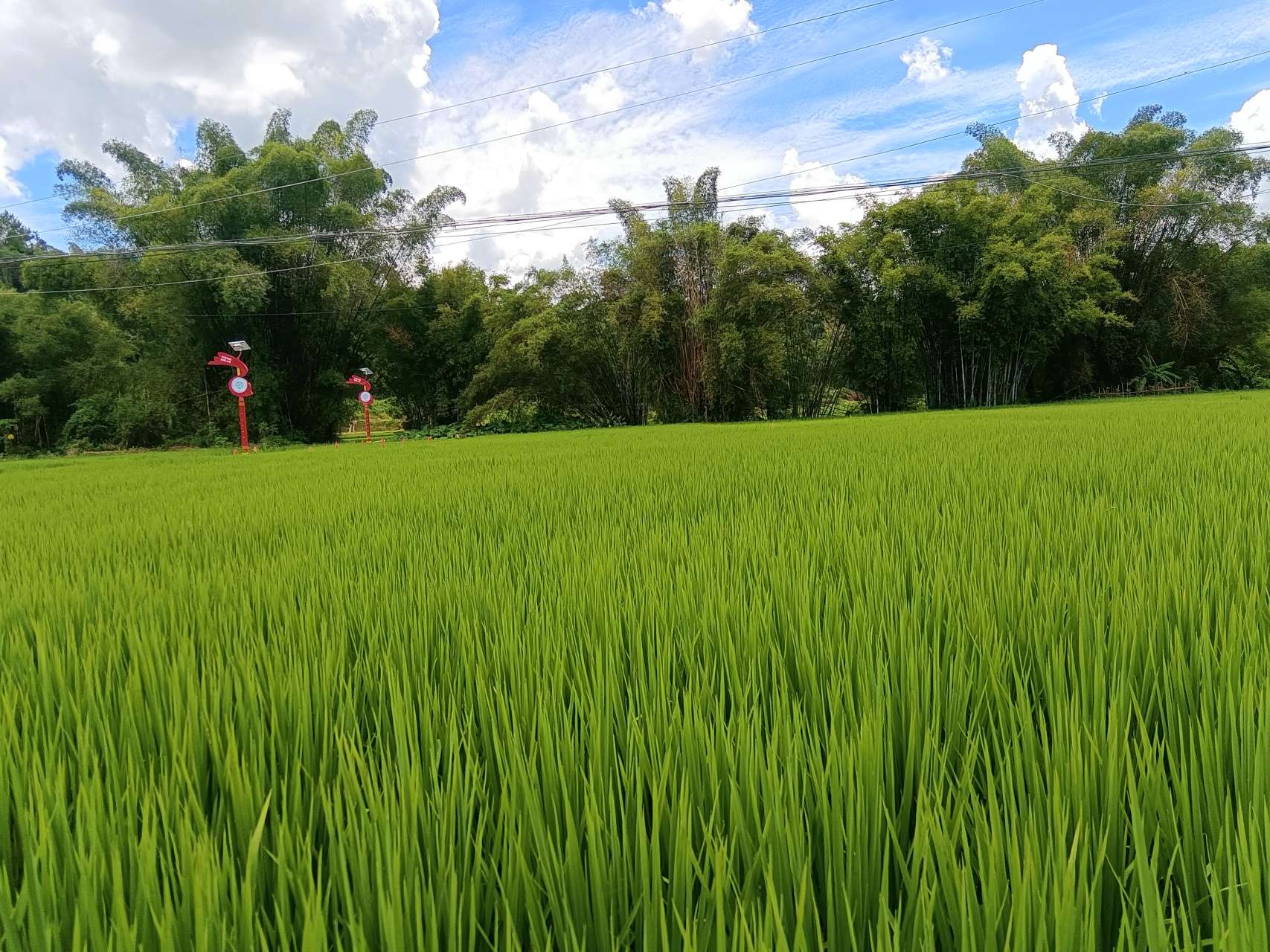 岭垌村,广西玉林市北流平政镇的一个行政村