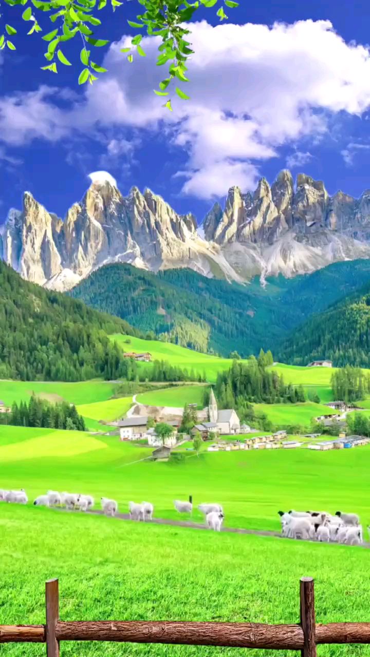 蓝天白云,绿草如茵,绵羊成群,这样的大草原你向往吗?