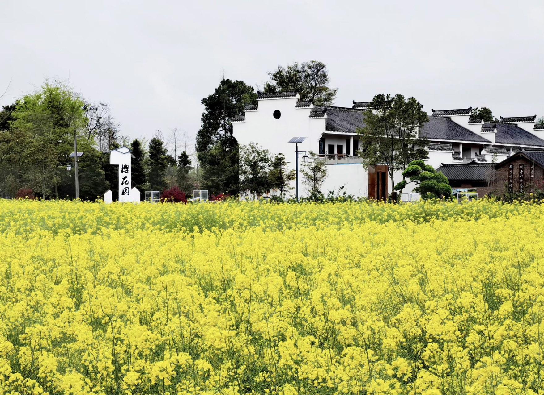 四川省成都市郫都区的战旗村是一个远离城市喧嚣的天府旅游名村,我