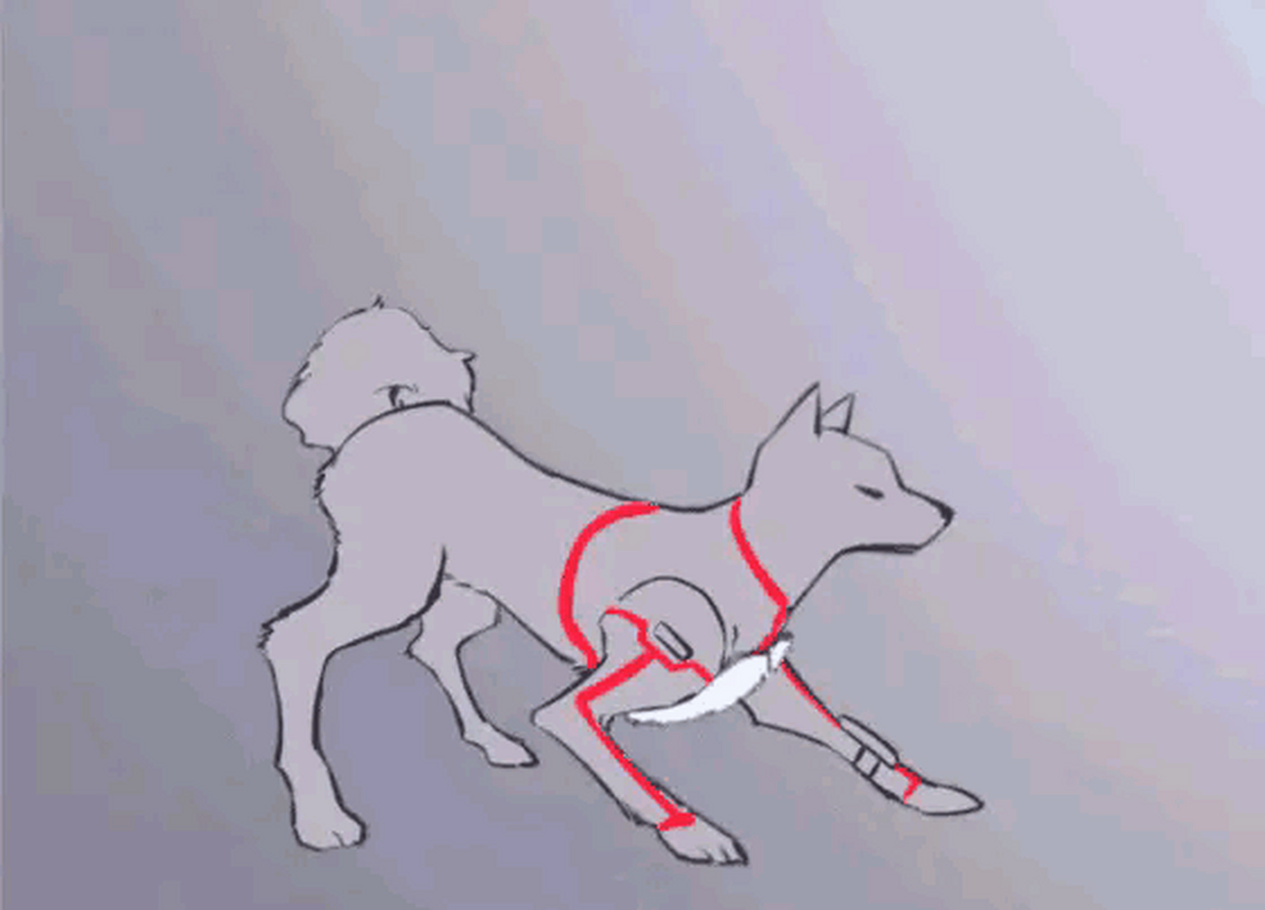尾翼稳定脱壳穿甲狗[滑稽]